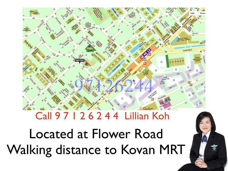 Flower Road (D19), Terrace #141039232